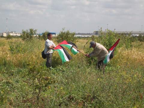 Tending orange tree - Israeli checkpoint Erez in background